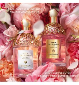 Aqua Allegoria Harvest - Rosa Rossa - Eau de Toilette Aqua Allegoria Harvest - Rosa Rossa - Eau de Toilette